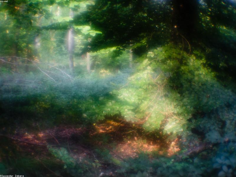 Dolar ve Euro'da Son Durum: Piyasa Güne Nasıl Başladı?